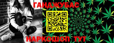 гашик Новозыбков