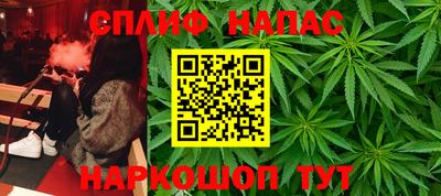 a pvp Новодвинск