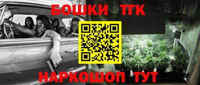 a pvp Новодвинск