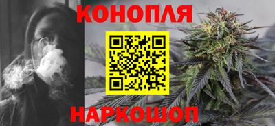 гашик Новозыбков