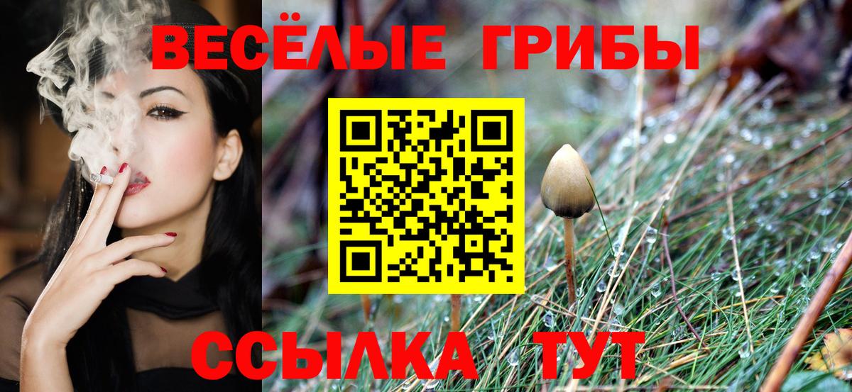 Галлюциногенные грибы GOLDEN TEACHER Саратов