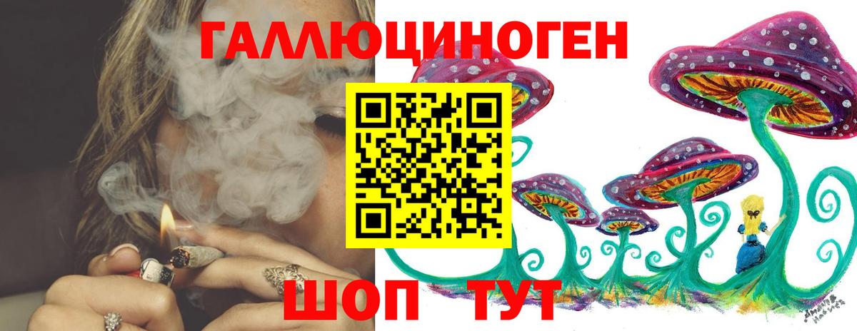Саратов  хочу   Вход с VPN  Псилоцибиновые грибы GOLDEN TEACHER 